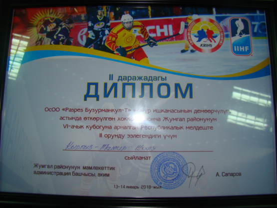 Хоккейный клуб «Локомотив» удостоен призовых мест